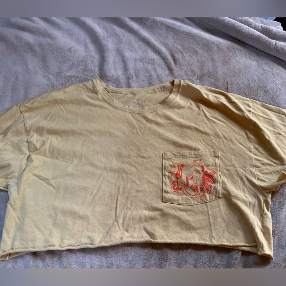 Aerie Yellow Crop Top with Red Accents